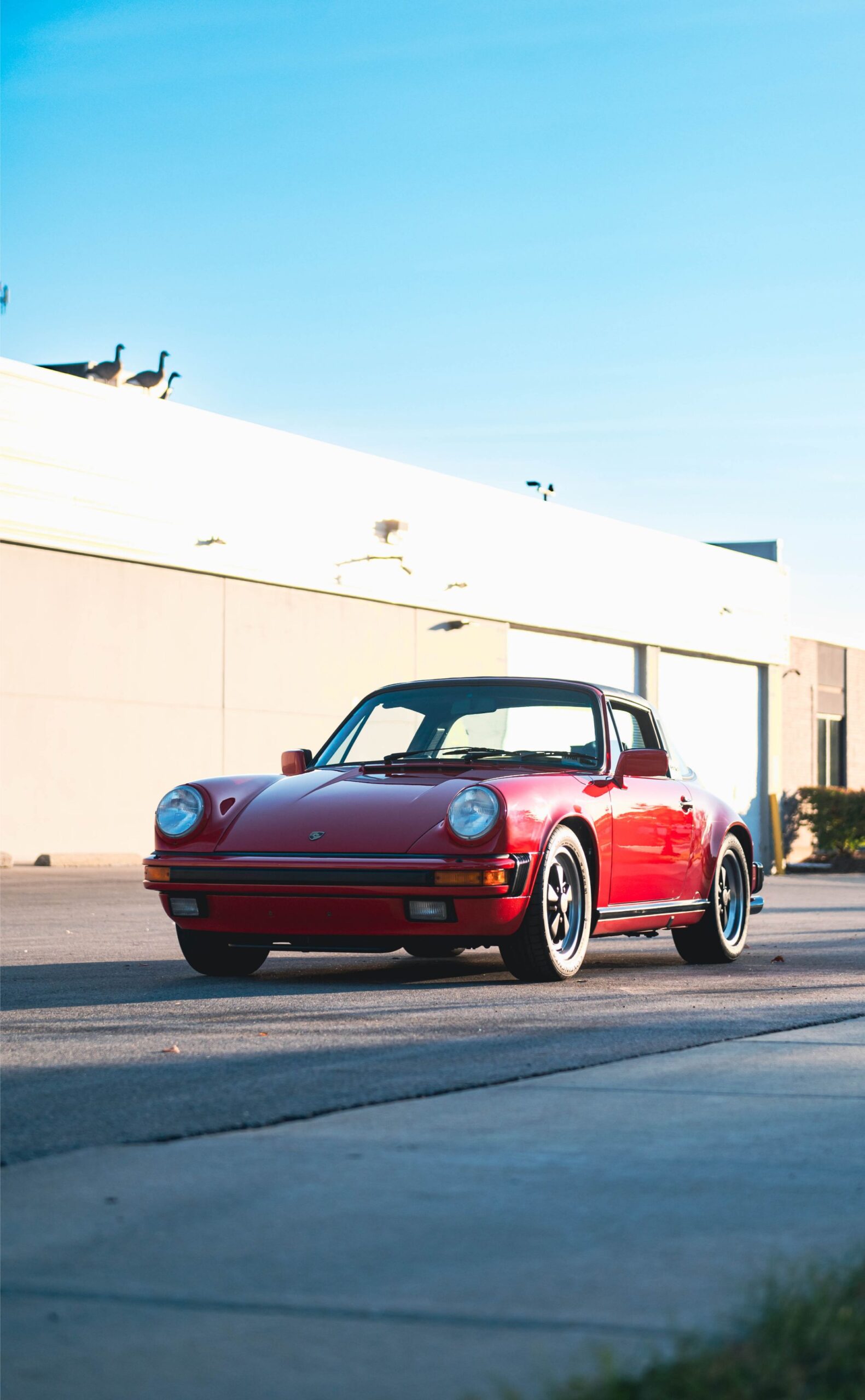 1987 911 Targa - Olsen Mod